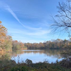 Eastchester Lake Park